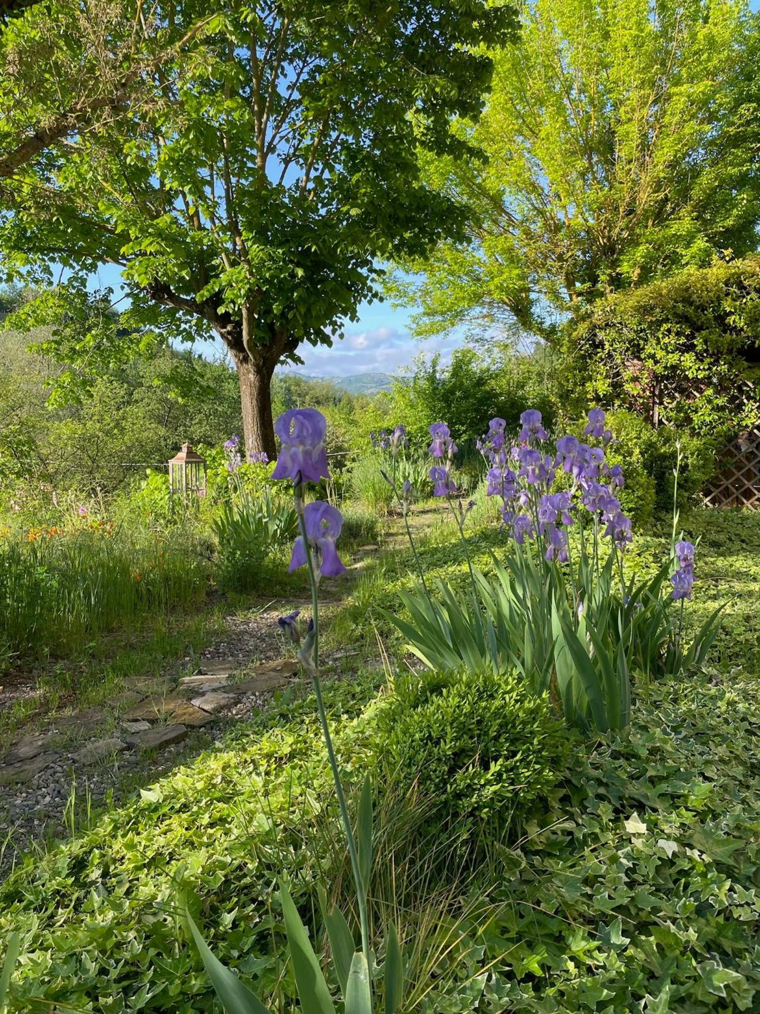 Verdmont Affittacamere Acqui Terme Esterno foto